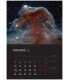 Space Falinaptar