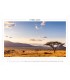 Wall Calendar Landscape