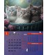 Calendar Cats
