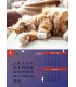 Calendar Cats