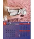 Wall Calendar Cats