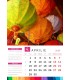 Calendar Colors