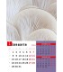 Calendar Details