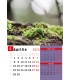 Calendar Details