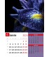 Calendar Details