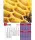 Wall Calendar Details