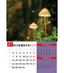 Wall Calendar Details