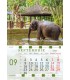 Calendar Exotic Places