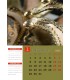 Wall Calendar Extravaganza