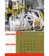 Wall Calendar Extravaganza