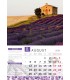 Lavender Falinaptar