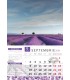 Lavender Falinaptar