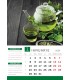 Calendar Green