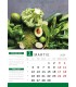 Calendar Green