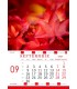 Calendar Red