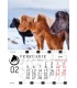 Wall Calendar Horses