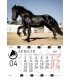 Calendar Horses