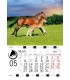Calendar Horses