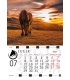 Wall Calendar Horses