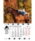 Horses Falinaptar