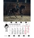 Wall Calendar Horses