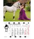 Horses Falinaptar