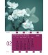 Wall Calendar Flowers