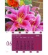 Wall Calendar Flowers
