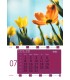 Wall Calendar Flowers