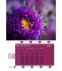 Wall Calendar Flowers