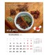 Wall Calendar Spices