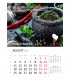Calendar Spices