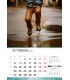 Wall Calendar Aqua