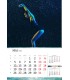 Wall Calendar Aqua