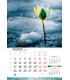 Calendar Aqua