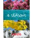 Wall Calendar 4 Seasons
