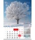 Calendar  4 Seasons
