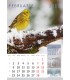 Wall Calendar 4 Seasons