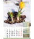 Wall Calendar 4 Seasons