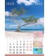 Calendar  4 Seasons