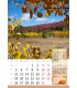 Wall Calendar 4 Seasons