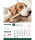Calendar Dogs