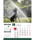 Wall Calendar Dogs