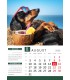 Calendar Dogs