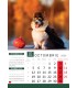 Wall Calendar Dogs