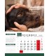 Wall Calendar Dogs
