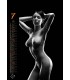 Wall Calendar Erotica