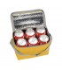 Geanta frigorifica FreshCooler