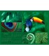 Wall Calendar Colorful Nature