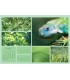 Wall Calendar Colorful Nature